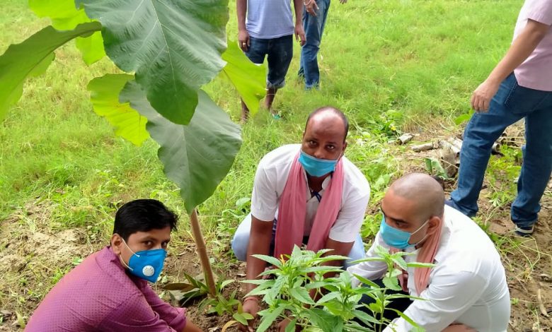 Photo of ने.बि.संघ पर्सा द्वारा स्व बि. पि कोइरालाको १०७ औं जन्मजयन्तीको अवसरमा वृक्षा रोपन गरियो