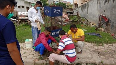 Photo of युवा नेता राजुदीन बाबुद्वारा पुनः वृक्षारोपण