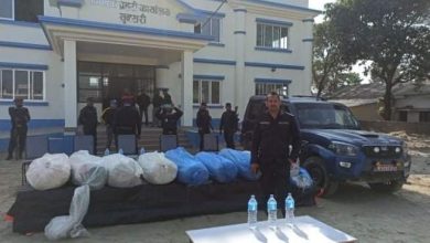 Photo of २५० केजी गाँजा , बोलोरो सहित खड्का र श्रेष्ठ पक्राउ ।