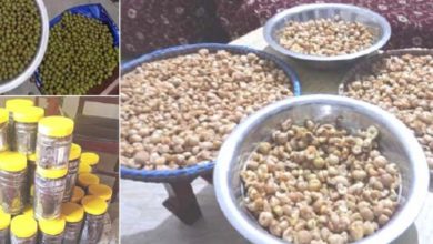 Photo of आयुर्वेदिक उद्योगको अर्बौंको लगानी धरापमा