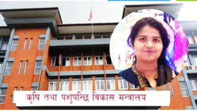 Photo of कृषि तथा पशुपन्छी मन्त्रीमा ज्वाला कुमारी साह !