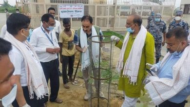 Photo of वृक्षारोपण दिवसको अवसरमा डिभिजन वन कार्यालय पर्सा द्वारा वृक्षारोपण।