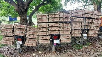 Photo of पर्साको जानकिटोलाबाट ५१ कार्टुन चल्ला बरामद ।