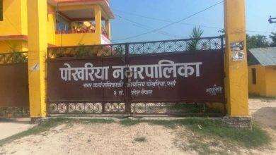 Photo of स्वास्थ्य सामग्री खरिदमा पोखरिया नगरपालिकाको ‘मनपरी’, एउटै मास्कको ५२० रुपैयाँ !