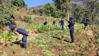 Photo of मकवानपूरमा प्रतिबन्धित गाँजा खेति र अफिम खेति फडानी