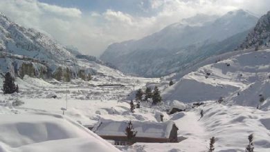 Photo of मनाङ र म्याग्दीमा हिमपातमा परी २ जना बेपत्ता, तीन जना अलपत्र