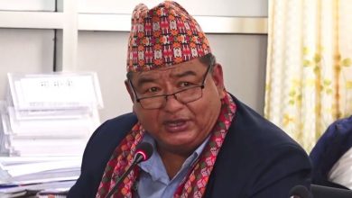 Photo of स्वदेशमै रोजगारी सिर्जना गर्न सरकार लागेको छ : श्रम मन्त्री श्रेष्ठ