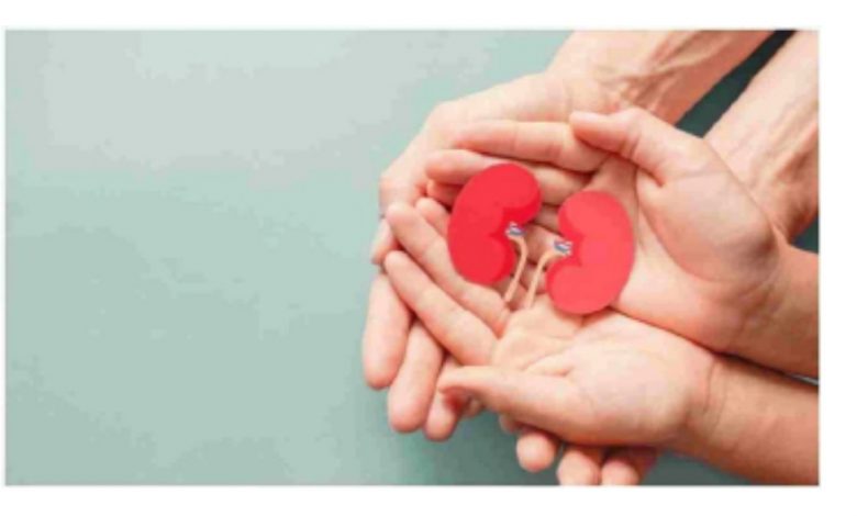 Photo of यी पाँच वस्तुको परहेज गर्दा मिर्गौला स्वस्थ हुन्छ