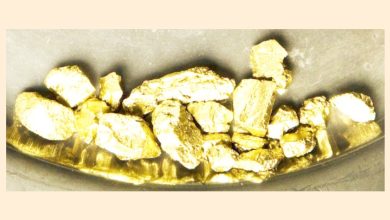 Photo of भारतिय सुन तस्कर विमानस्थलबाट पक्राउ, दिसा गराउँदा झन्डै एक किलो सुन निस्कियो