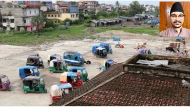 Photo of बीपी उद्यानको जग्गामा पार्किङ निर्माण र ठेक्का सम्बन्धमा उच्च अदालत अस्थायी इजलास जनकपुर द्वरा रिट जारी