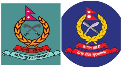 Photo of सशस्त्र प्रहरी र नेपाल प्रहरी वीरगन्जकौ सीर्सिया (ड्राइपोर्ट)र अलौं नाकामा २४ घण्टा ड्युटीमा रहेतापनी रुकेन तस्करी