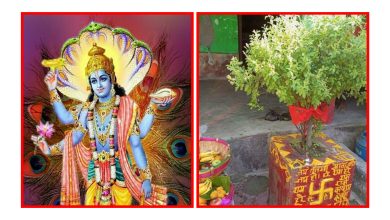 Photo of आज हरिबोधिनी एकादशी व्रत (तुलसी बिवाह) गर्ने दिन।
