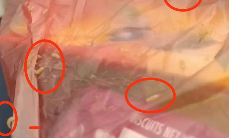 Photo of वीरगन्ज महानगर द्वारा विधार्थीको स्वास्थ संग खेलवाड किरा लागेको बिस्कुट र रियल वितरण(भिडियो सहित)