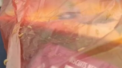 Photo of वीरगन्ज महानगर द्वारा विधार्थीको स्वास्थ संग खेलवाड किरा लागेको बिस्कुट र रियल वितरण