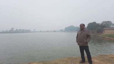 Photo of राजनीतिमा अवसर नपाएका दीनानाथ व्यवसायिक कृषिकर्ममा रमाउँदै