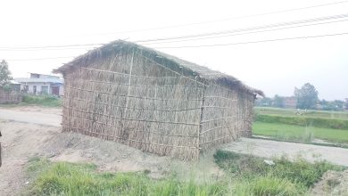 Photo of वडा कार्यालयकै बजेटबाट बनेको पिच सडककै बीचमा फुसको घर ! वीरगञ्ज महानगर र वडा अध्यक्षको मौनतामाथि प्रश्न