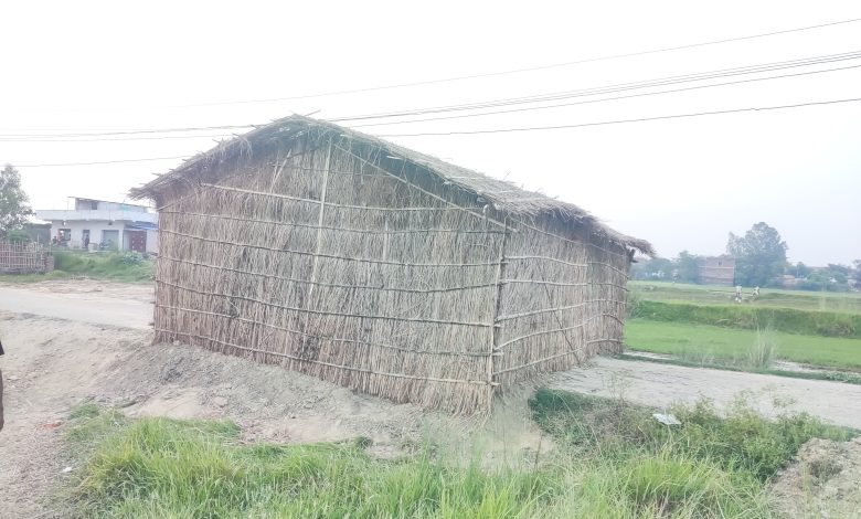 Photo of वडा कार्यालयकै बजेटबाट बनेको पिच सडककै बीचमा फुसको घर ! वीरगञ्ज महानगर र वडा अध्यक्षको मौनतामाथि प्रश्न