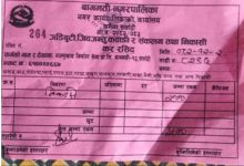 Photo of कर्मैयामा करको खेल : नदेखेझैँ बागमती नगरपालिका, राजमार्गमै खुला लुट !