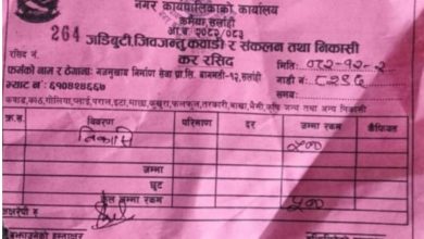 Photo of कर्मैयामा करको खेल : नदेखेझैँ बागमती नगरपालिका, राजमार्गमै खुला लुट !