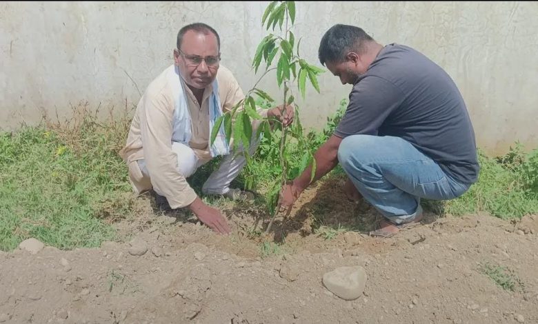 Photo of ४४औँ बीपी स्मृति दिवसको अवसरमा पटेर्वा सुगौली गाउँपालिकामा वृक्षारोपण तथा ‘जरा अभियान’ सम्पन्न